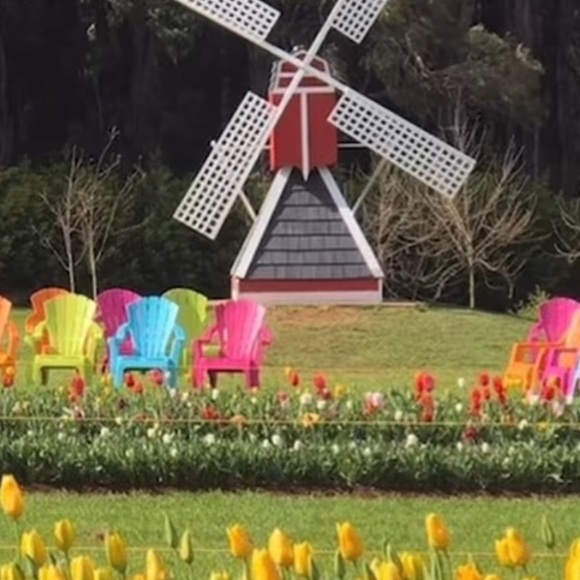 Meet your Posher, Shafiqa - Picture 1 of 1